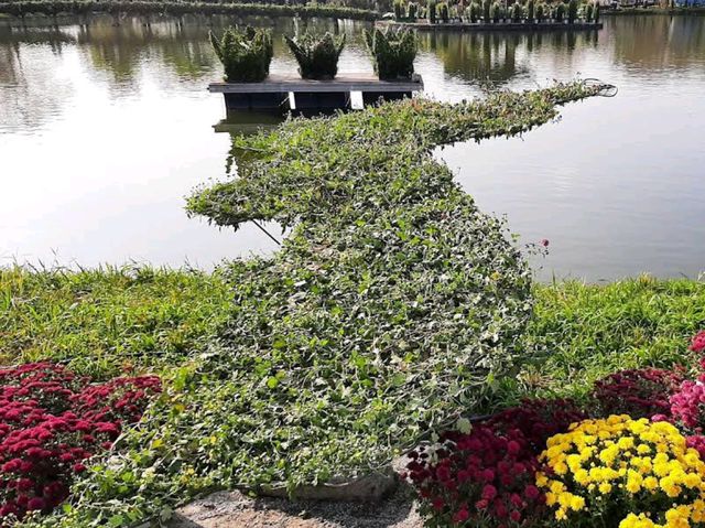 Buyeo Seodong Park – Blossoms Amongst Lotus Legacy