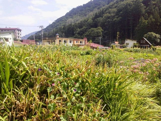 【福島】檜枝岐村で日本の大自然と伝説にふれる