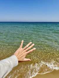 강원도 양양에서 만난 푸른 하루🌊