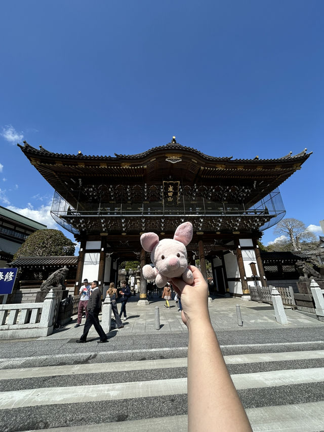 1 full day Solo trip in Narita Japan