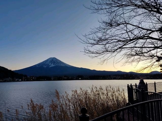 河口湖岸散步，感受富士山之美。