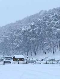 Xinjiang: A Fairytale of Snow and Serenity
