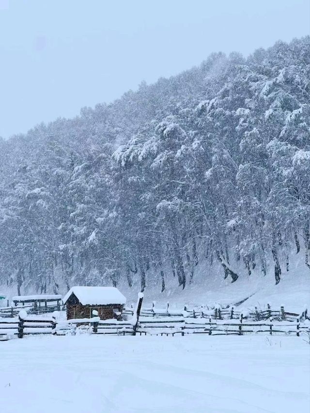 Xinjiang: A Fairytale of Snow and Serenity