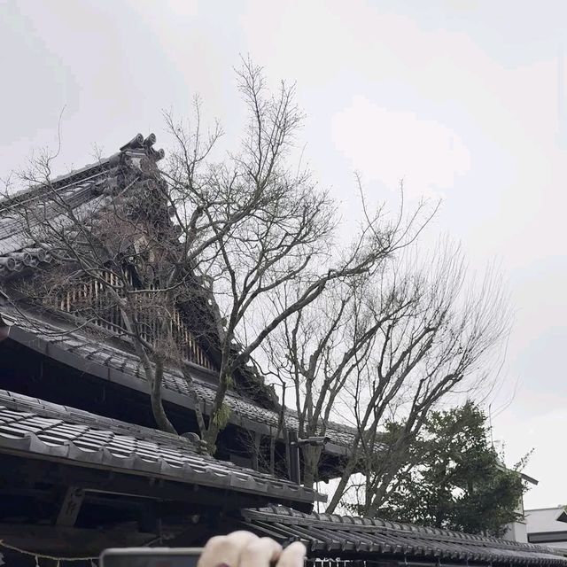 Maruyama Park, Kyoto