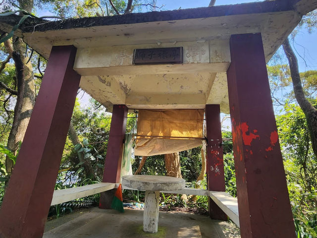 新店小獅頭山登高望遠去