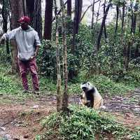 Lemur Island｜看狐猴的最佳地點之一