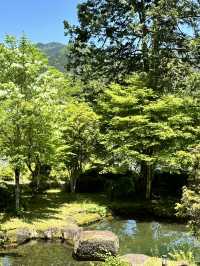【岐阜】日本を代表する風景画家 東山魁夷の作品が見られます
