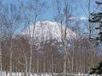 Snow Paradise Found – My Magical Stay at Hilton Niseko Village