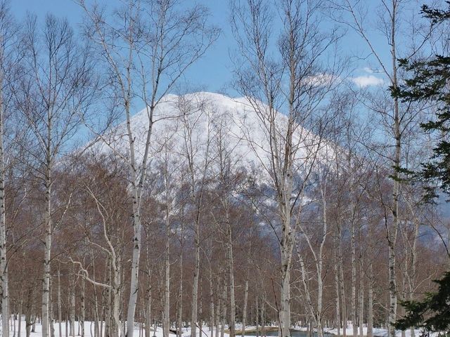 Snow Paradise Found – My Magical Stay at Hilton Niseko Village
