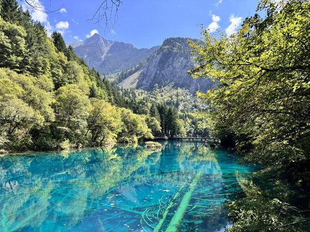 A Dream in Color: Reflections After Visiting Jiuzhaigou 