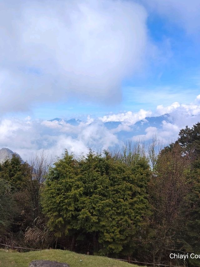 จุดชมวิว Zhushan Station Mt.Okasawara Alishan