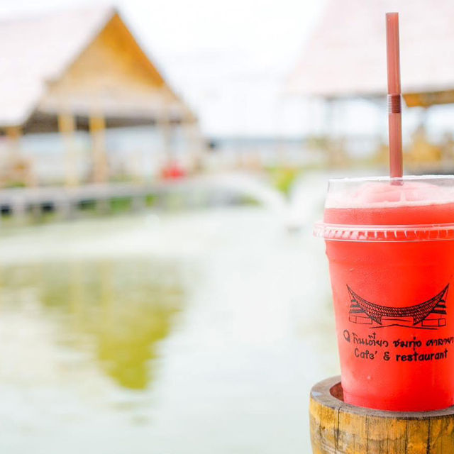 แนำนำร้านอาหารใกล้ชิดธรรมชาติ มีบ่อปลา พาฮีลใจ