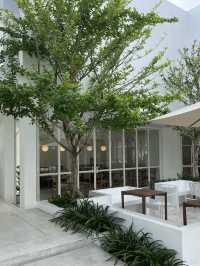 Minimalist Charm and Cozy Comfort at Casa 33 Hatyai