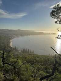 【シドニー郊外】野生のイルカと絶景に出会える場所。Port Stephens で過ごす1日