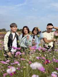 Picturesque Agricultural Theme Park