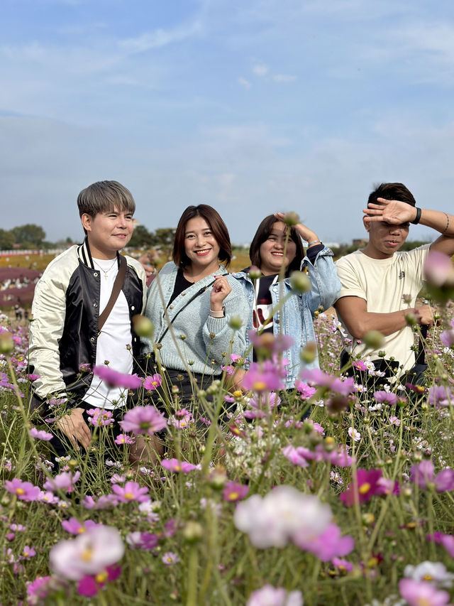 Picturesque Agricultural Theme Park