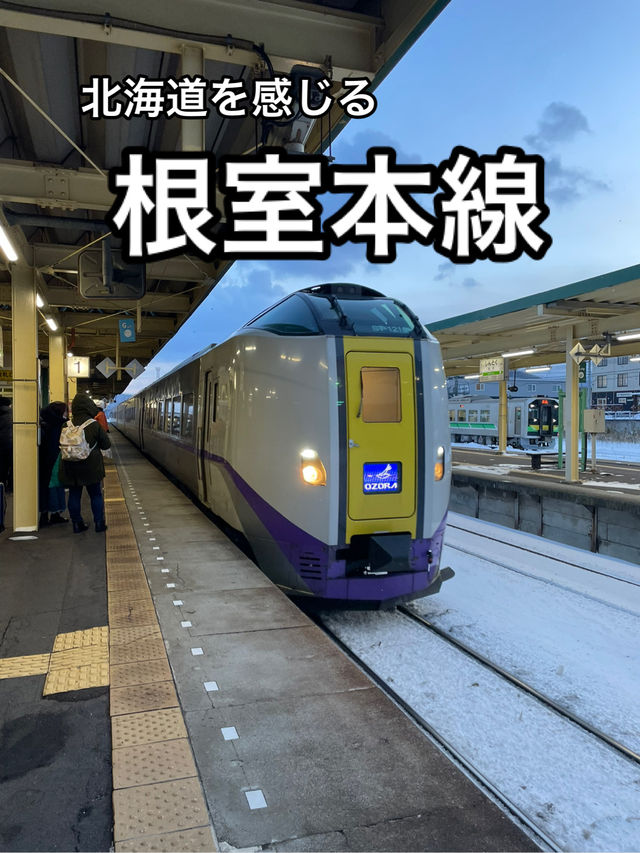 【北海道】日本最東端へ向かうJR北海道・根室本線