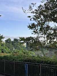 Slow Bakes, Fast Faves: Yishun’s Hidden Gem by the Pond 🥯🍞