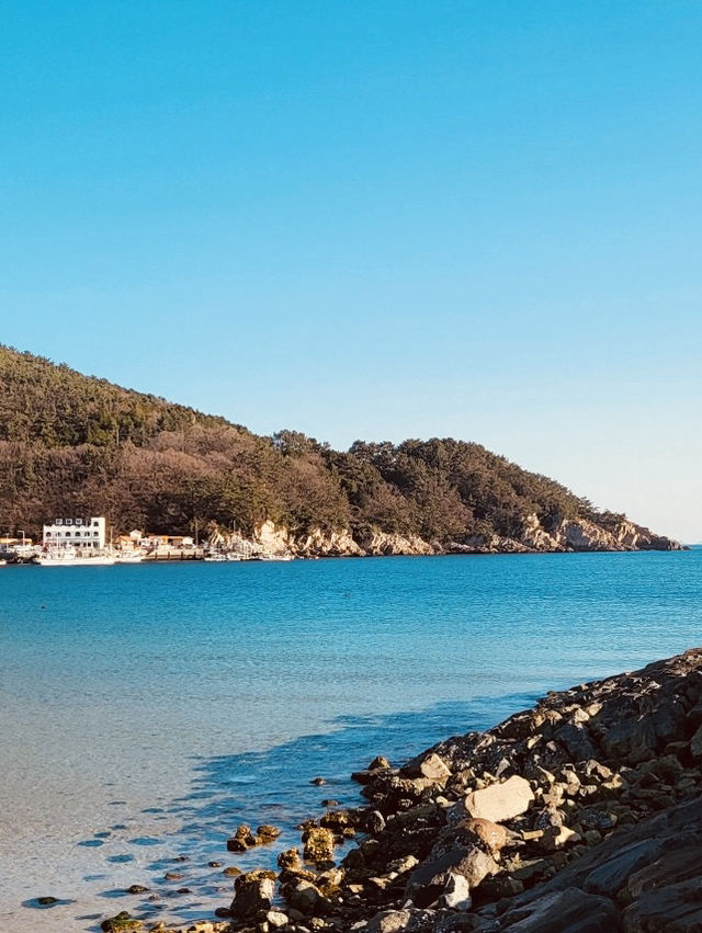 Sangju Eunmorae Beach: A Pristine Sands Paradise in Spring 