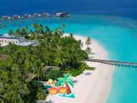 🌴 Dive Into Dreamy Alif Alif Atoll, Maldives! 🌊✨