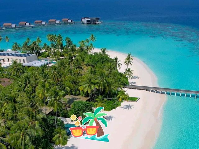 🌴 Dive Into Dreamy Alif Alif Atoll, Maldives! 🌊✨