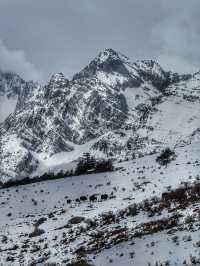 Breathing the Sky: A Calm Escape to Yak Meadow (牦牛坪) on Jade Dragon Snow Mountain