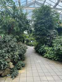 🌴 팔멘가르텔, 프랑크푸르트의 열대 정원! 