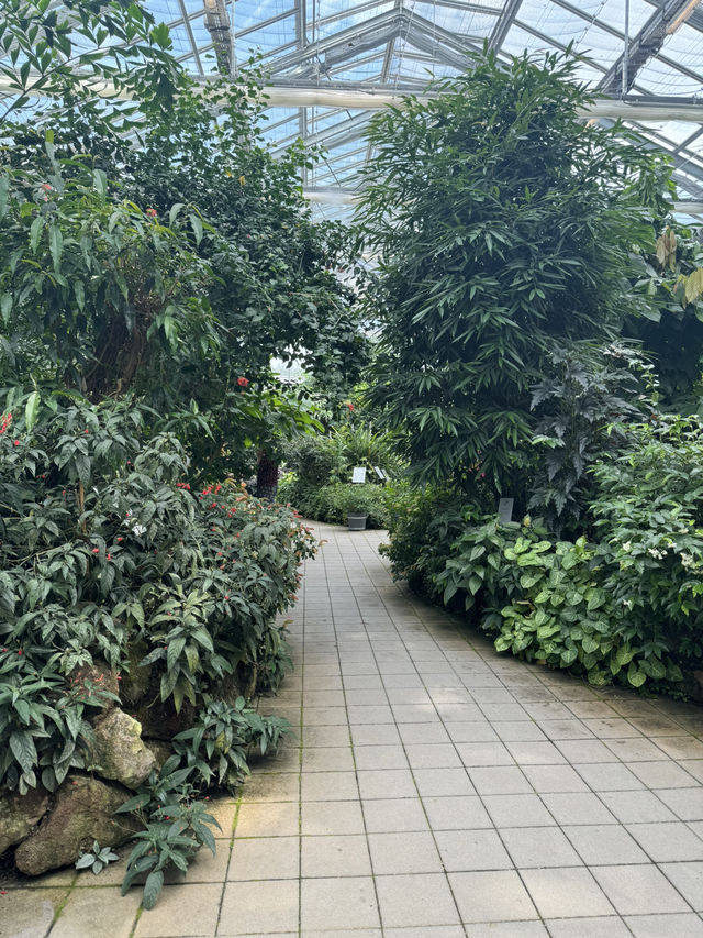 🌴 팔멘가르텔, 프랑크푸르트의 열대 정원! 