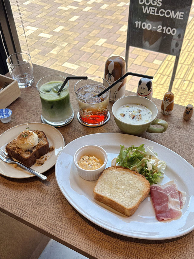 나고아역 근처, 작년 오픈한 브런치 맛집!