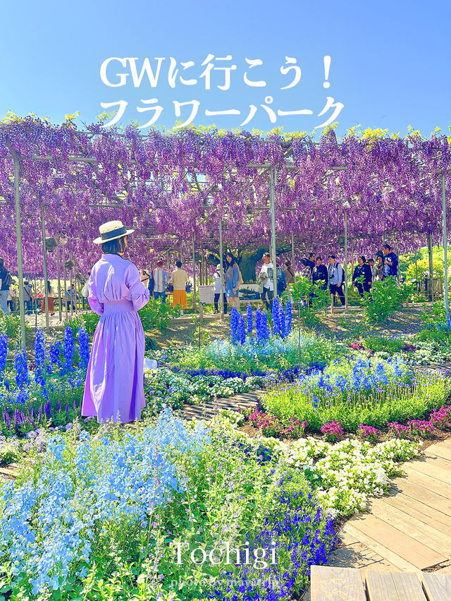 GWここにいこう！花畑【栃木】