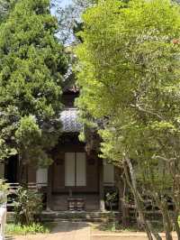 📍妙福寺/東京