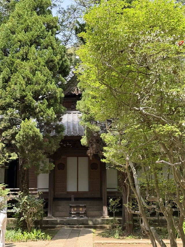 📍妙福寺/東京