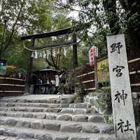 🇯🇵【京都】パワースポット！野宮神社！良縁、子宝、学問の神様♪(^^)