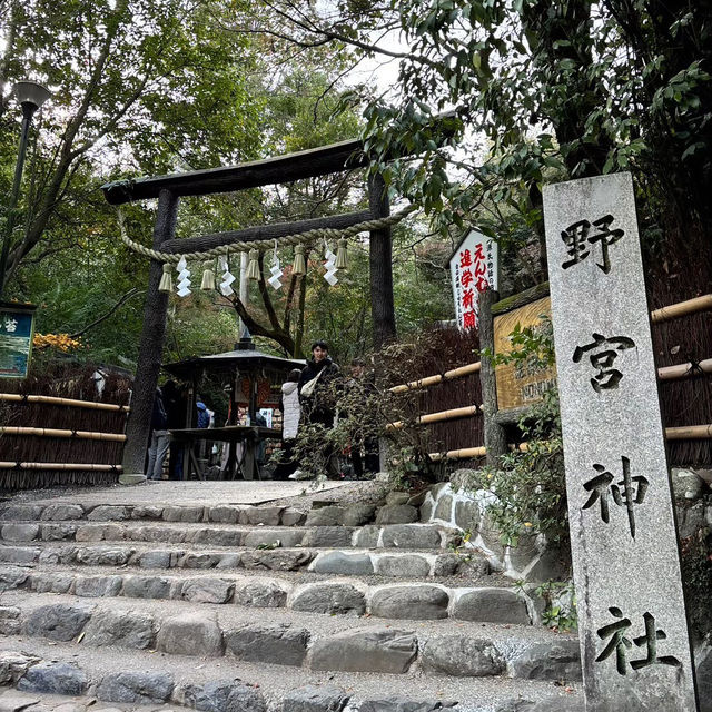 🇯🇵【京都】パワースポット！野宮神社！良縁、子宝、学問の神様♪(^^)