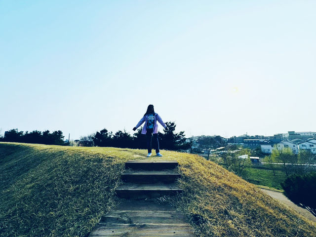 Peace at the Fortress