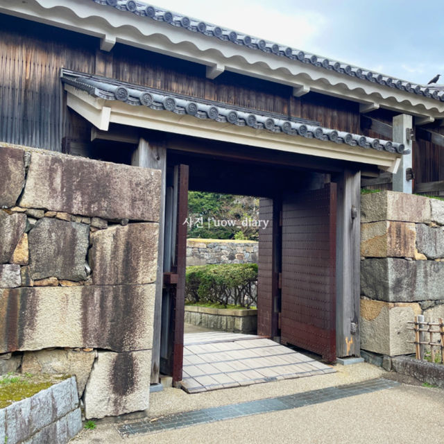 일본 3대 성에도 언급되는 나고야성은 필수여행지!🏯
