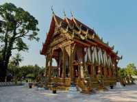 🌴🌊 KHAO LAK WEEKEND ESCAPE: Beach Bliss & Island Adventures! 