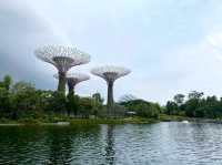 A Walk Through the Future: Exploring Gardens by the Bay, Singapore