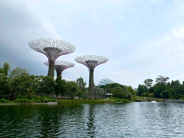 A Walk Through the Future: Exploring Gardens by the Bay, Singapore