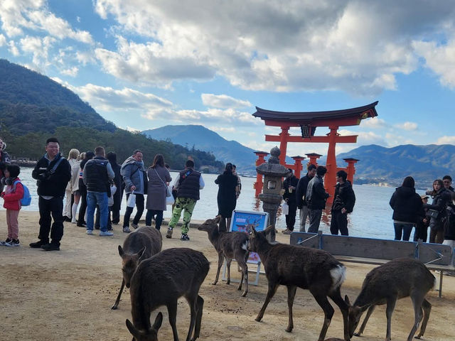 世界文化遺產-嚴島宮島神社、五重塔、千疊閣