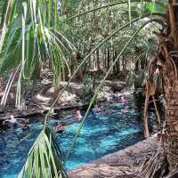 Nature’s Spa Day – Mataranka Thermal Pools