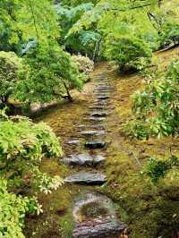 Rainy Spring Serenity at Shugakuin Imperial Villa