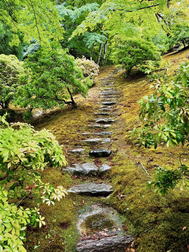 Rainy Spring Serenity at Shugakuin Imperial Villa