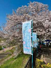 Blossoms & a Hidden Escape