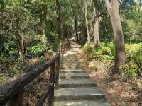 行山好去處：青衣自然徑