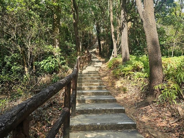 行山好去處：青衣自然徑