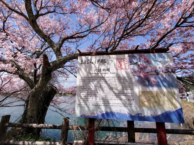 Sakura + Stillness, Rokudo no Tsutsumi Is Peak