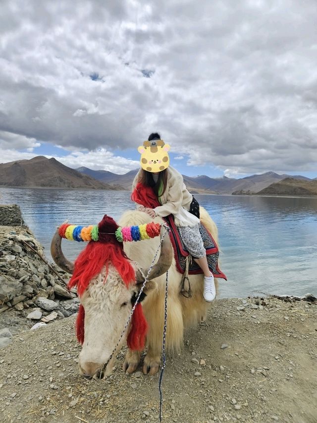 西藏没有海🌊卻收集了所有的藍