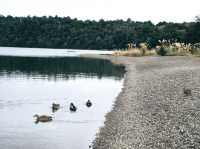 ขับรถเที่ยวเกาะใต้นิวซีแลนด์ - Nelson Lake