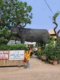 jungle de cafe เชียงใหม่ สาขาบ้านถวาย
